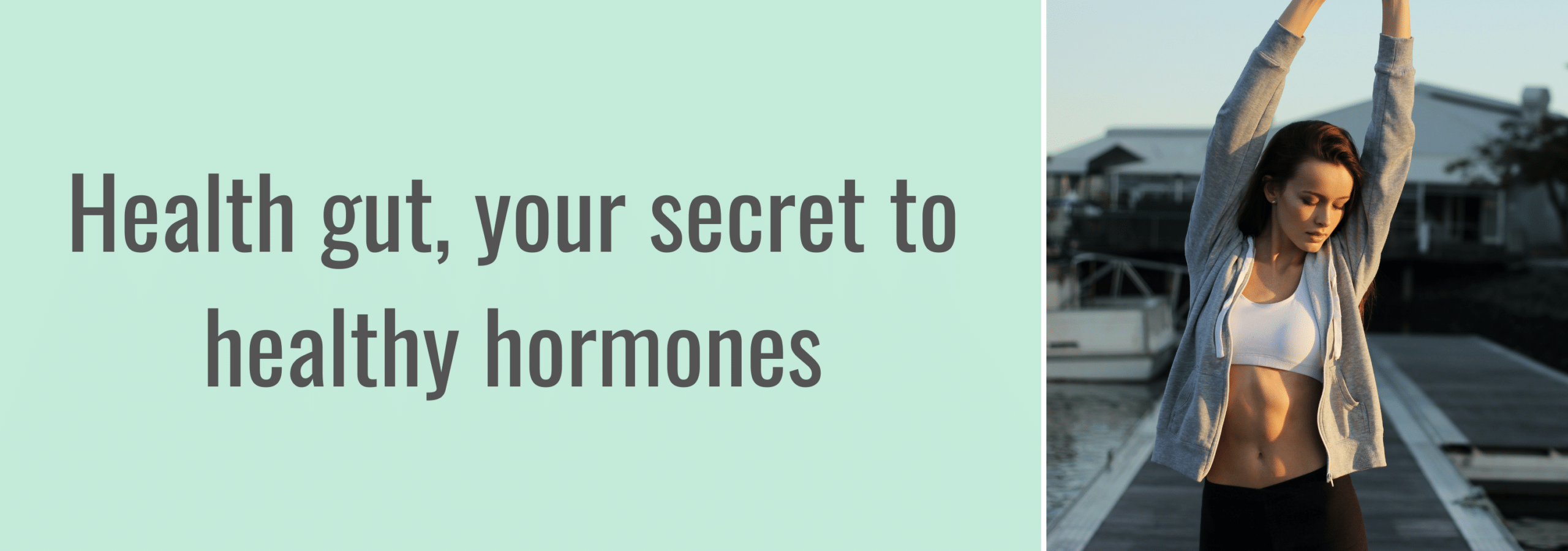 Gut Health Gut Health And Foods For Healthy Hormones
